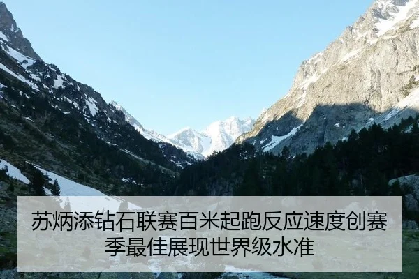 su-bing-tian-zuan-shi-lian-sai-bai-mi-qi-pao-fan-ying-su-du-chuang-sai-ji-zui-jia-zhan-xian-shi-jie-ji-shui-zhun-3-595.jpg