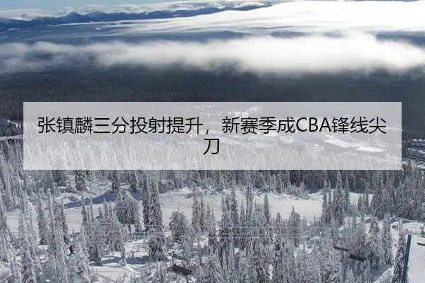 张镇麟三分投射提升，新赛季成CBA锋线尖刀