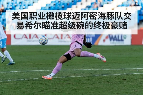 美国职业橄榄球迈阿密海豚队交易希尔瞄准超级碗的终极豪赌